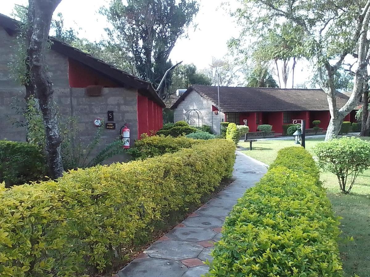 Mara River Lodge Aitong Ngoại thất bức ảnh