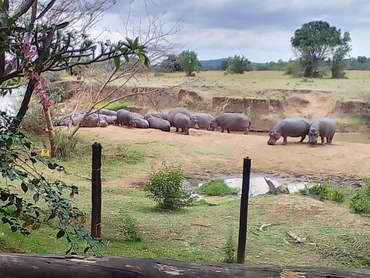 Mara River Lodge Aitong Ngoại thất bức ảnh