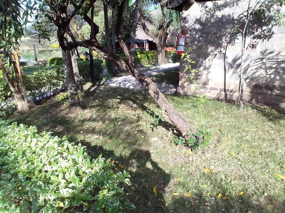 Mara River Lodge Aitong Ngoại thất bức ảnh