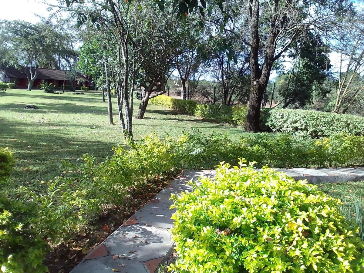Mara River Lodge Aitong Ngoại thất bức ảnh